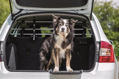 Trixie Car Dog Partition – 96-163 x 34-48 cm – Aluminum Trunk Divider with Headrest Attachment - Image 2