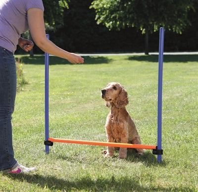 Trixie Dog Activity Agility Horde Blue/Orange - Image 2