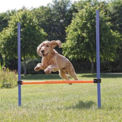 Trixie Dog Activity Agility Horde Blue/Orange - Image 3