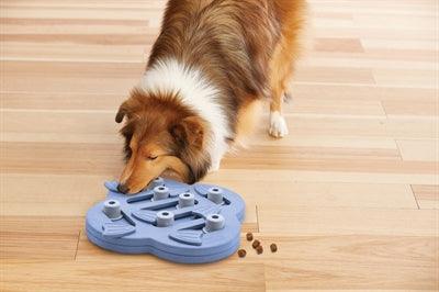 Nina Ottosson Dog Hide N Slide - intelligence toy - interactive puzzle for dogs - Image 3