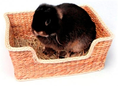 Rosewood Chill ‘N’ Snooze Rodent Bed