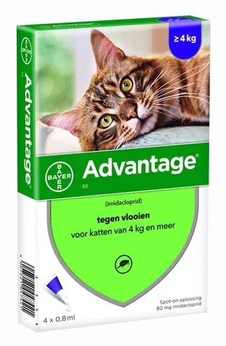 Advantage® Cat – 4 Pipettes – Spot-on Flea Treatment – From 4 kg