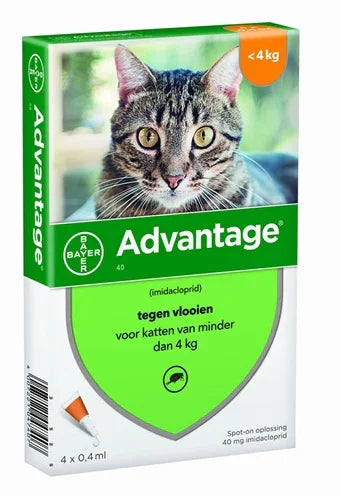 Advantage® Cat – 4 Pipettes - Spot-on Flea Treatment - From 4 kg - Image 2