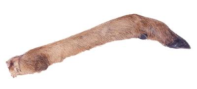 Petsnack Deer Leg With Hair - Image 3