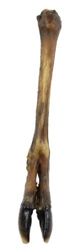 Petsnack Deer Paw – Natural Chew Snack for Dogs - 100% natural chew bone - Image 2