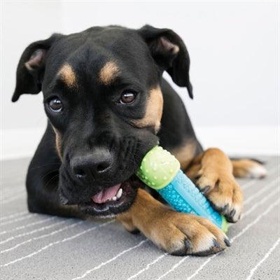 Kong Core Strength Bone – Durable Chew Toy for Dogs - Image 2