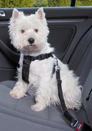 Trixie Dog Harness Car Including Seat Belt Black – XS to XXL - Image 1