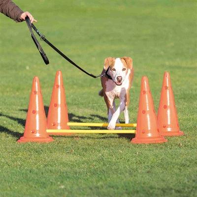 Trixie Dog Activity Hurdle Set - Image 2