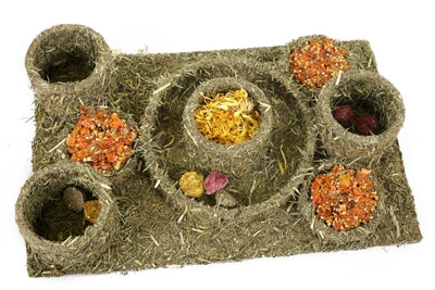 Naturals Rosewood Naturals Hide N Treat Maze - Image 1