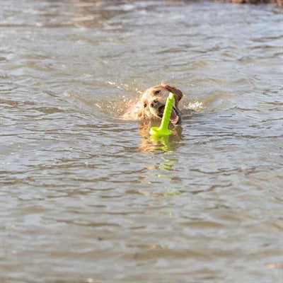 Trixie Dog Activity Mot-Aqua Fetch Float Lime Green - Image 3