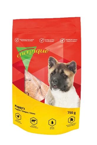 Energique No. 2 Puppy - Image 3