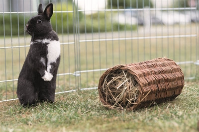 Trixie Willow Tunnel Rabbit - Image 3