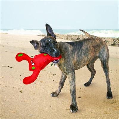 Kong Belly Flops Crayfish - Sturdy toy with squeaker - Image 2