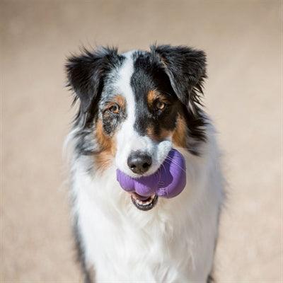 Kong Senior Purple - For older dogs that need mental and physical stimulation - Image 3