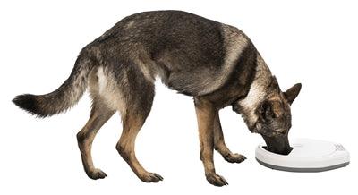 Trixie Tx4+1 Automatic Pet Feeder - Image 3