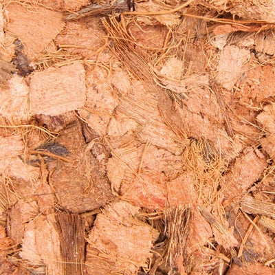 Trixie Reptiland Coconut Flakes - Image 3