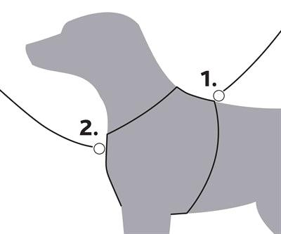 Trixie Trekking Dog Harness Fuchsia/Gray – S to XXL - Image 2