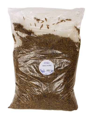 De Vries Mealworm Black Soldier Fly - Image 3
