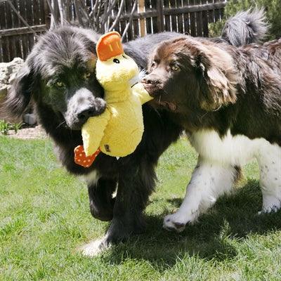 Kong Comfort Jumbo Duck Assorted - Large plush dog toy - Image 3