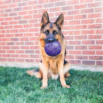 Kong Flexball Purple - Bounces unpredictably for hours of fun. - Image 3