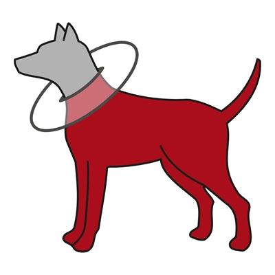 Trixie Protective Collar Polyester / Foam Gray - Protection for Dogs and Cats - all sizes - Image 2