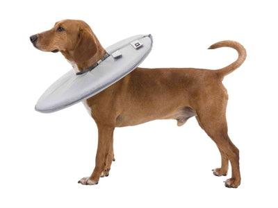 Trixie Protective Collar Polyester / Foam Gray - Protection for Dogs and Cats - all sizes - Image 3