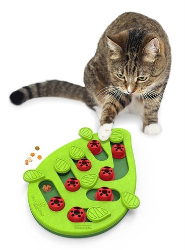 Nina Ottosson Puzzle & Play Buggin Out Green - Image 1