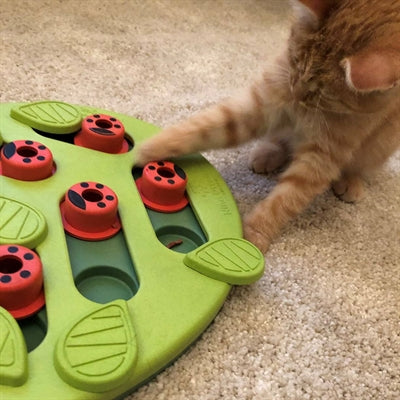 Nina Ottosson Puzzle & Play Buggin Out Green - Image 2