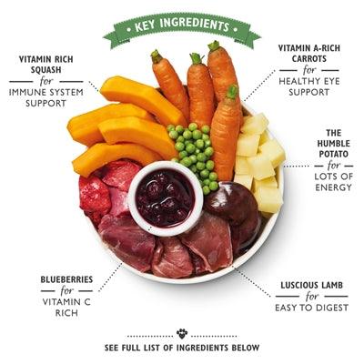 Lily's Kitchen Dog Lamb Hotpot - Complete bulk wet food for dogs - 6 x 400 grams - Image 3