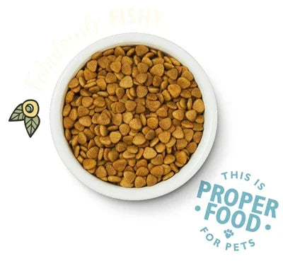 Lily's Kitchen Cat Fisherman's Feast Fish - Nutritious complete meal for cats - Image 2
