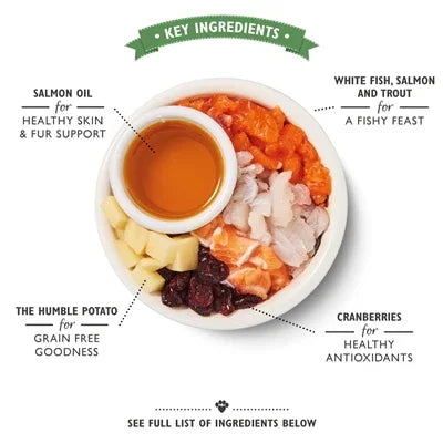 Lily's Kitchen Cat Fisherman's Feast Fish - Nutritious complete meal for cats - Image 3