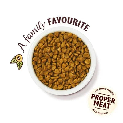 Lily's Kitchen Cat Adult Chicken Casserole - Premium grain-free cat food - Image 3