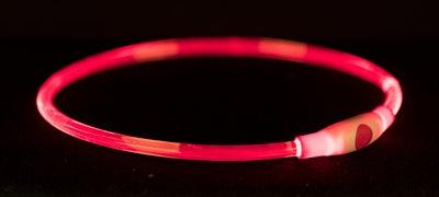 Trixie Light Up Collar USB Flash Light Rechargeable TPU Red
