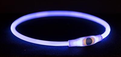 Trixie Blue Luminous Rechargeable Collar – Includes USB Charger – Various Sizes