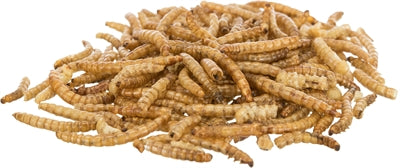 Trixie Dried Mealworms - Image 2