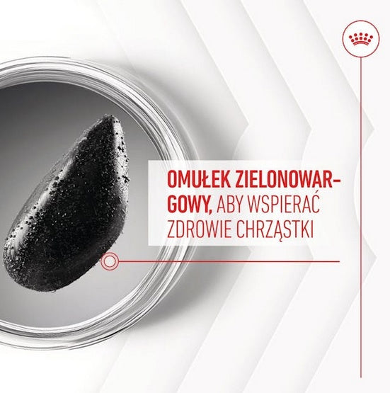 Royal Canin Joint & Ageing Chews Adult Supplements 240g - wsparcie stawów i zdrowego starzenia - Image 3