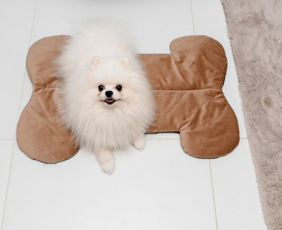 MIMIKO Pets Mata Velvet Form Kość - Image 3