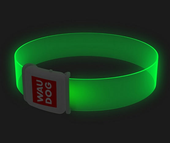 Collar WauDog LED obroża z mocnym podświetleniem 90% powierzchni - Image 3