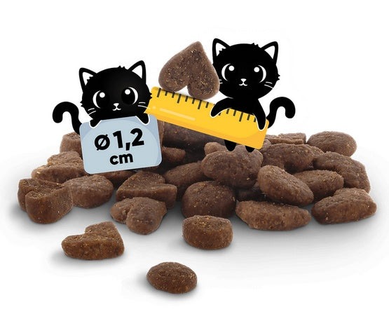 Lucky Lou Food Code Mono pstrąg 750 g - monobiałkowa sucha karma bez zbóż - Image 3