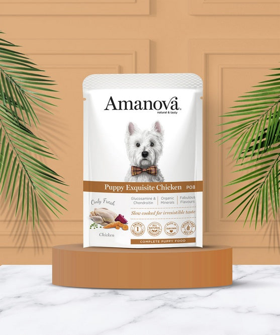 Amanova Dog Puppy Exquisite Chicken - kurczak saszetka 300g [P08] - Image 3