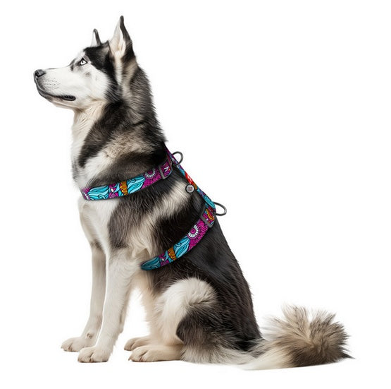 Collar WauDog Nylon Szelki nylonowe anatomiczne w kształcie litery H, z QR-paszportem, plastikowy fastex, wzór LATO, rozmiar XL 35mm - Image 3