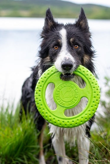 Kiwi Walker Let's Play Frisbee Mini różowe - Image 3