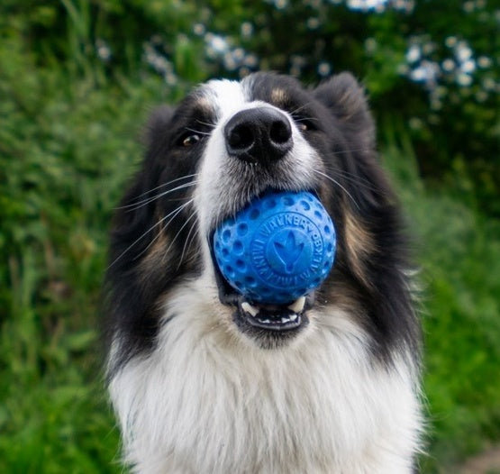Kiwi walker let's play ball - większa piłka do aktywnej zabawy - 8 cm - Image 3