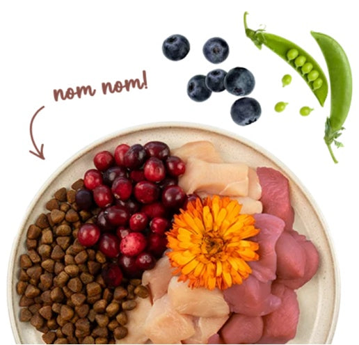 Sanabelle Indoor 400g - chrupiąca karma dla kotów niewychodzących - Image 2