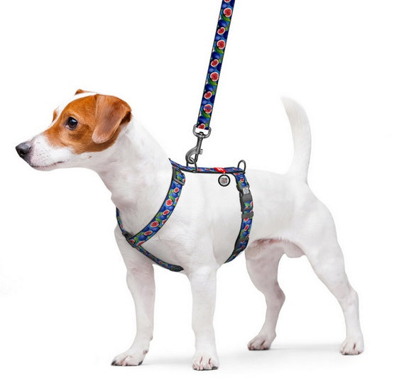 Collar WauDog Nylon Szelki nylonowe anatomiczne w kształcie litery H, z QR-paszportem, plastikowy fastex, wzór FIGA, rozmiar M 20mm - Image 3
