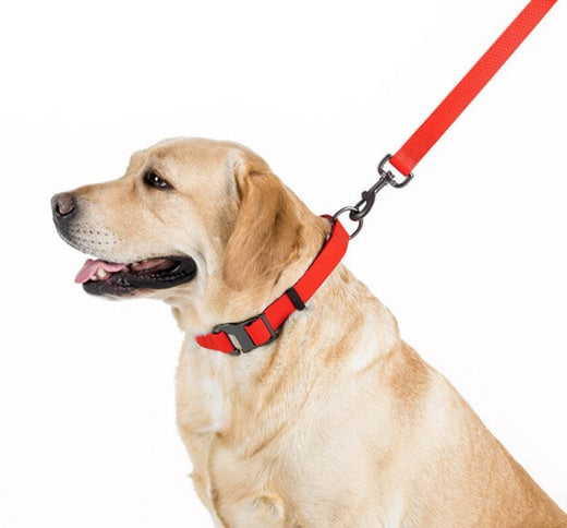 Collar Waterproof Smycz wodoodporna M 20mm/183cm czerwona - Image 3