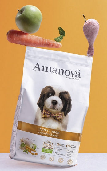 Amanova dog puppy large exquisite chicken – only fresh świeży kurczak dla szczeniąt dużych ras 12 kg - Image 3