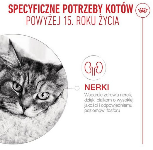 Royal Canin Ageing +15 karma sucha dla kotów dojrzałych 2kg - Image 3
