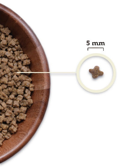 Acana Highest Protein Kitten 1,8kg - Image 3