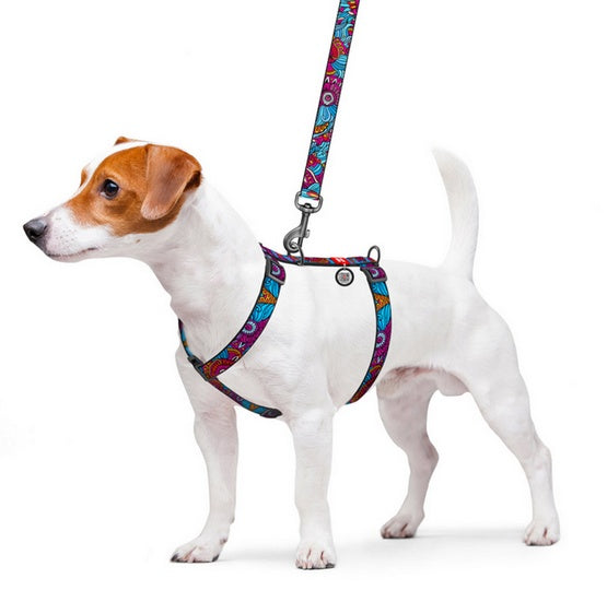Collar WauDog Nylon Szelki nylonowe anatomiczne w kształcie litery H, z QR-paszportem, plastikowy fastex, wzór LATO, rozmiar M 20mm - Image 3